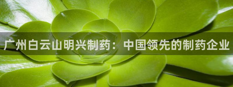 老哥俱乐部是干什么的：广州白云山明兴制药：中国领先的制药企业