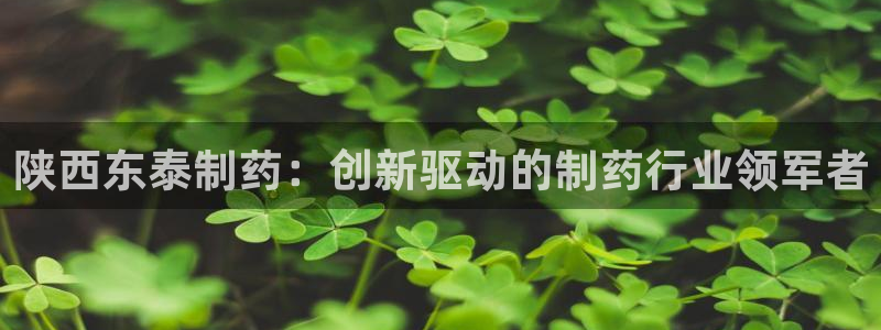 ag九游会老哥俱乐部：陕西东泰制药：创新驱动的制药行业领军者
