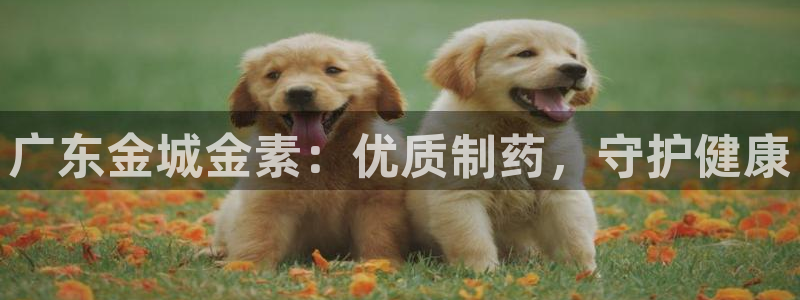 9游会老哥俱乐部：广东金城金素：优质制药，守护健康