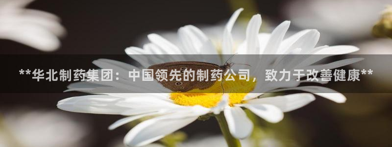 九游会老哥俱乐部官网首页论坛：**华北制药集团：中国领先的制药公司，致力于改善健康**