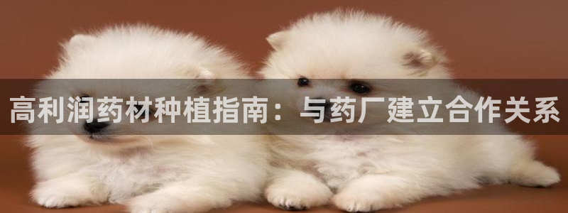 九游老哥俱乐部登录：高利润药材种植指南：与药厂建立合作关系