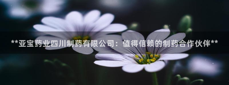 九游老哥俱乐部官网登录不了：**亚宝药业四川制药有限公司：值得信赖的制药合作伙伴**