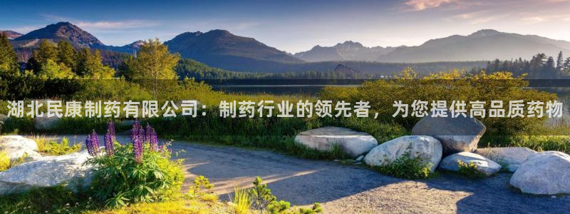老哥俱乐部是干什么的：湖北民康制药有限公司：制药行业的领先者，为您提供高品质药物