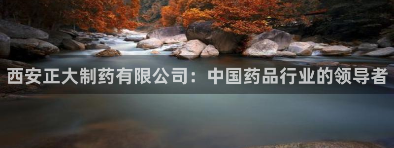 九游老哥俱乐部官网登录网址：西安正大制药有限公司：中国药品行业的领导者