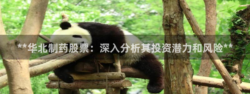 ag九游老哥俱乐部：**华北制药股票：深入分析其投资潜力和风险**