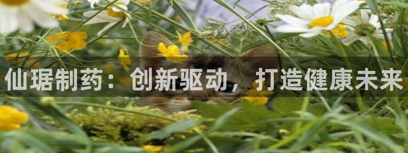 九游会老哥俱乐部官方网站：仙琚制药：创新驱动，打造健康未来