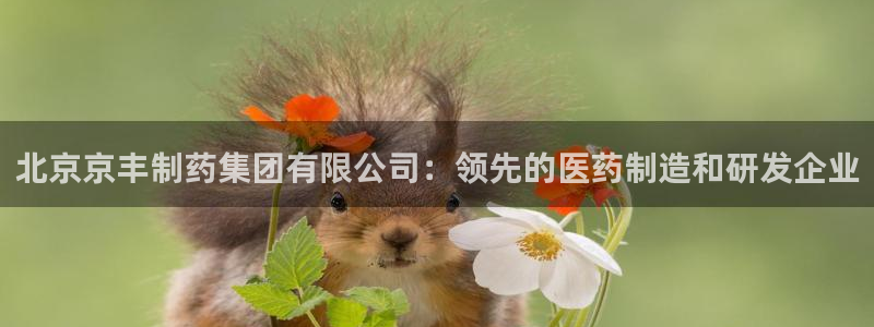 九游会老哥俱乐部交流社区：北京京丰制药集团有限公司：领先的医药制造和研发企业