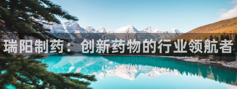 九游老哥俱乐部官网登录不了：瑞阳制药：创新药物的行业领航者