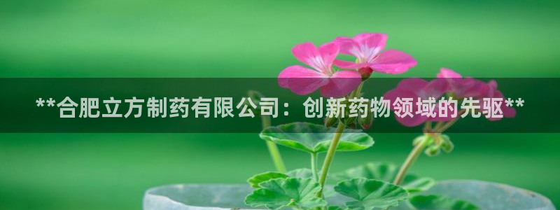 九游会老哥：**合肥立方制药有限公司：创新药物领域的先驱**