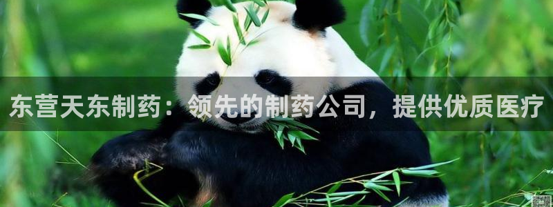 usdt九游会老哥俱乐部：东营天东制药：领先的制药公司，提供优质医疗