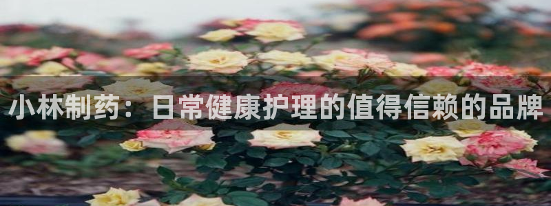 ag九游会老哥俱乐部：小林制药：日常健康护理的值得信赖的品牌