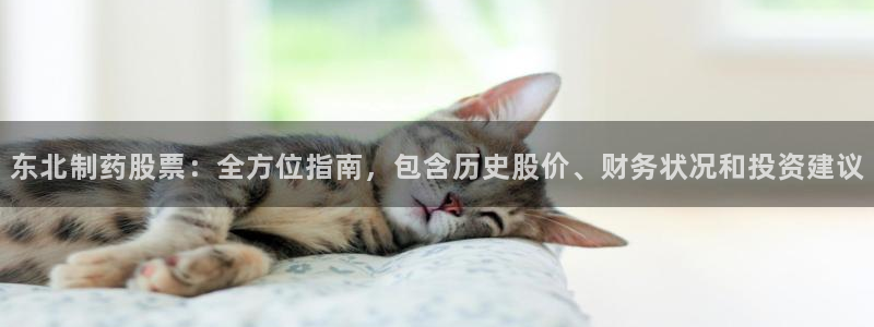 九游会老哥俱乐部官网：东北制药股票：全方位指南，包含历史股价、财务状况和投资建议