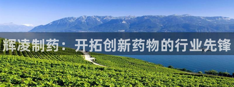 ag九游会老哥俱乐部：辉凌制药：开拓创新药物的行业先锋