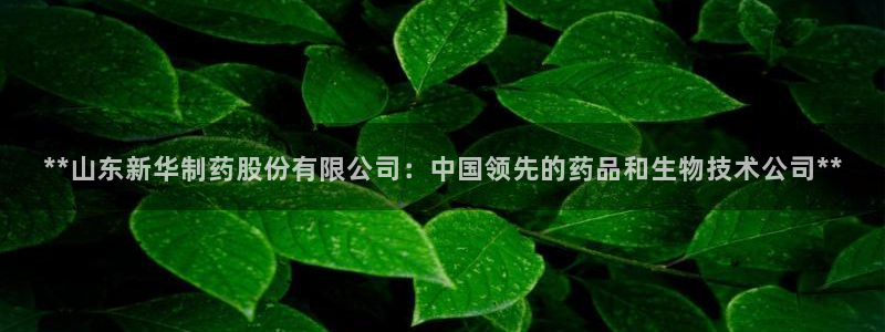 九游老哥俱乐部官网登录入口：**山东新华制药股份有限公司：中国领先的药品和生物技术公司**