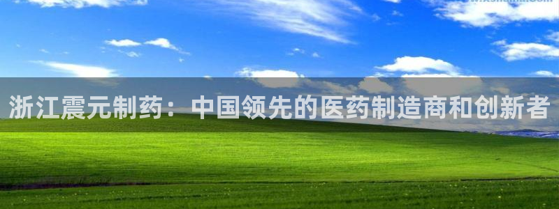 九游会老哥俱乐部交流社区：浙江震元制药：中国领先的医药制造商和创新者
