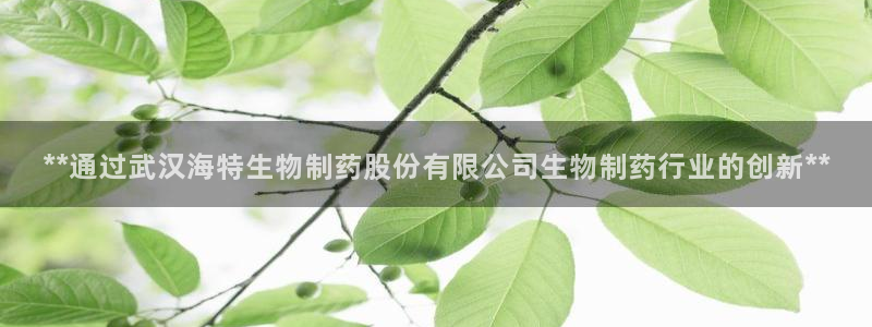九游会老哥：**通过武汉海特生物制药股份有限公司生物制药行业的创新**