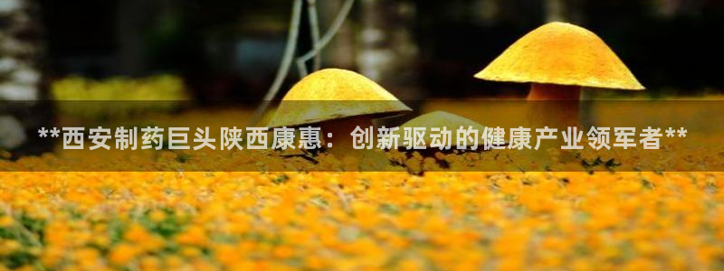 usdt九游会老哥俱乐部：**西安制药巨头陕西康惠：创新驱动的健康产业领军者**