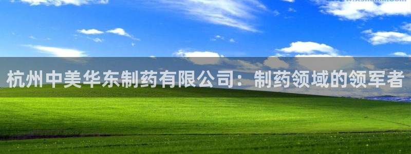 九游会老哥俱乐部必备的交流社区论坛：杭州中美华东制药有限公司：制药领域的领军者