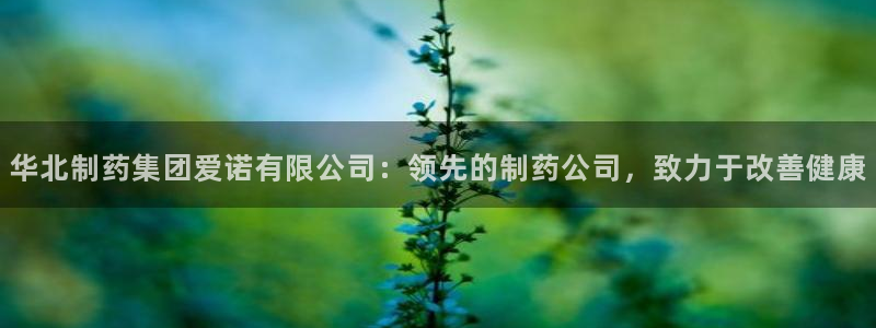 九游会老哥：华北制药集团爱诺有限公司：领先的制药公司，致力于改善健康