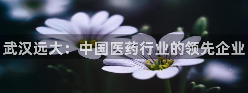 ag九游老哥俱乐部：武汉远大：中国医药行业的领先企业