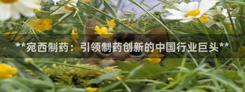 九游会老哥必备的交流社区：**宛西制药：引领制药创新的中国行业巨头**