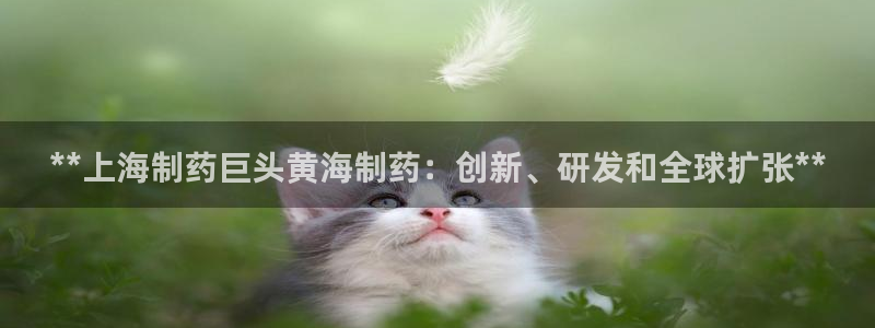 九游老哥俱乐部官网登录：**上海制药巨头黄海制药：创新、研发和全球扩张**