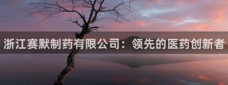 九游会老哥俱乐部交流社区：浙江赛默制药有限公司：领先的医药创新者