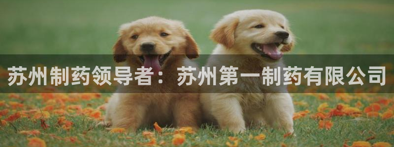 ag九游老哥俱乐部：苏州制药领导者：苏州第一制药有限公司