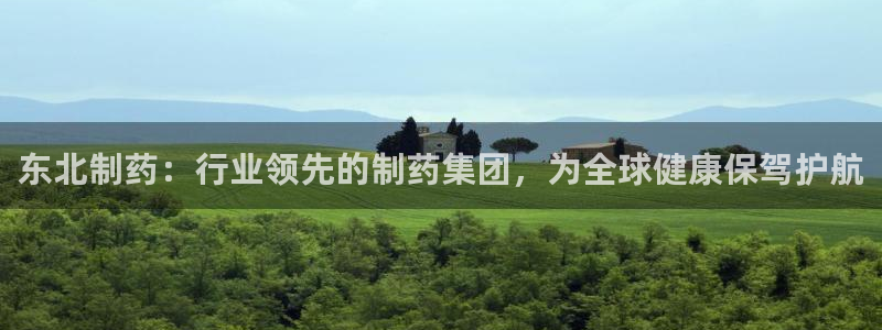 九游老哥俱乐部官网登录不了：东北制药：行业领先的制药集团，为全球健康保驾护航