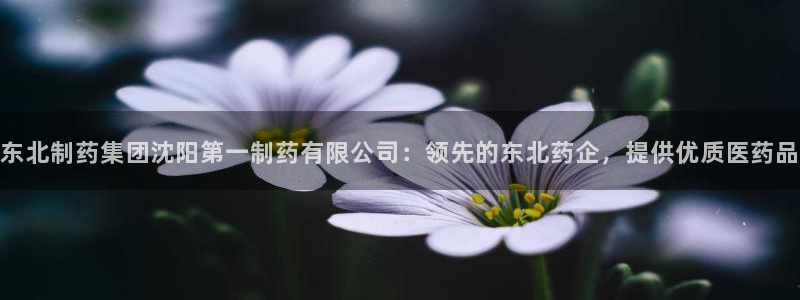 九游会老哥俱乐部必备的交流社区论坛：东北制药集团沈阳第一制药有限公司：领先的东北药企，提供优质医药品