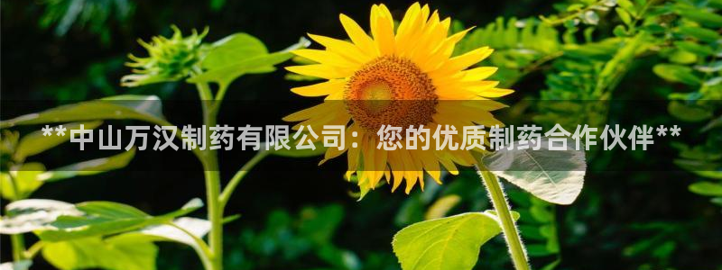 老哥俱乐部是干什么的：**中山万汉制药有限公司：您的优质制药合作伙伴**