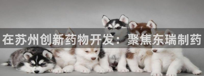 老哥俱乐部是干什么的啊：在苏州创新药物开发：聚焦东瑞制药