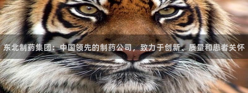 老哥俱乐部是干什么的啊：东北制药集团：中国领先的制药公司，致力于创新、质量和患者关怀