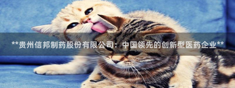 九游老哥俱乐部官网登录入口：**贵州信邦制药股份有限公司：中国领先的创新型医药企业**