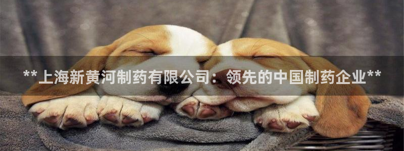 老哥吧九游会：**上海新黄河制药有限公司：领先的中国制药企业**