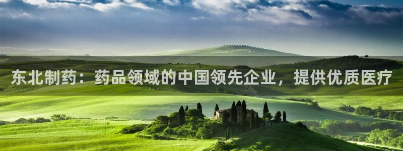 9游会老哥俱乐部：东北制药：药品领域的中国领先企业，提供优质医疗