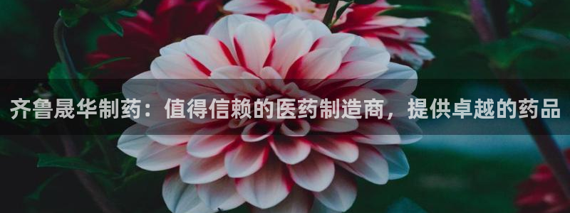 九游老哥俱乐部官网登录：齐鲁晟华制药：值得信赖的医药制造商，提供卓越的药品