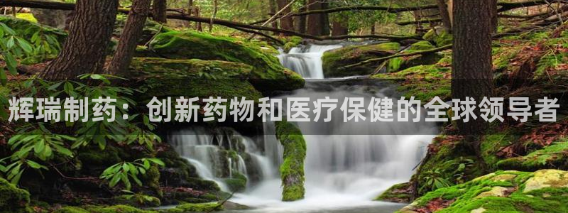 九游老哥俱乐部登录：辉瑞制药：创新药物和医疗保健的全球领导者