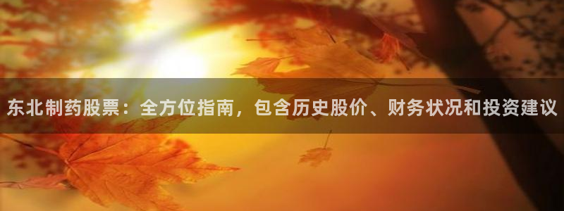 ag九游老哥俱乐部：东北制药股票：全方位指南，包含历史股价、财务状况和投资建议