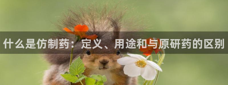 九游会老哥俱乐部官网首页：什么是仿制药：定义、用途和与原研药的区别