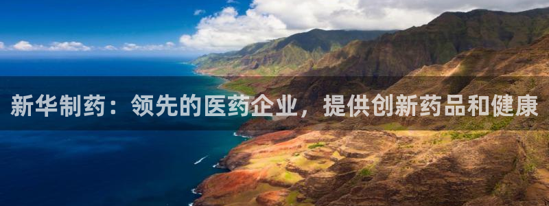 9游会老哥：新华制药：领先的医药企业，提供创新药品和健康