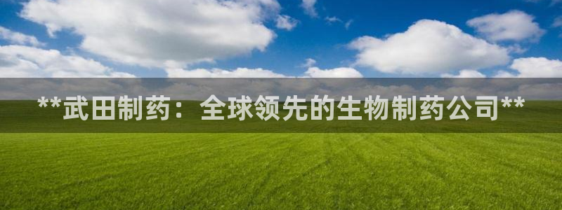 九游会老哥：**武田制药：全球领先的生物制药公司**