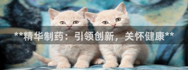 ag九游会老哥俱乐部：**精华制药：引领创新，关怀健康**
