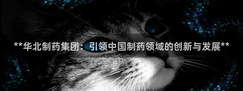 九游会老哥俱乐部官网首页：**华北制药集团：引领中国制药领域的创新与发展**
