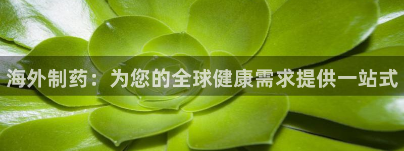 九游会老哥俱乐部官网：海外制药：为您的全球健康需求提供一站式