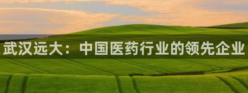 九游会老哥俱乐部官网：武汉远大：中国医药行业的领先企业