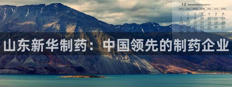 九游会老哥俱乐部官方网站：山东新华制药：中国领先的制药企业
