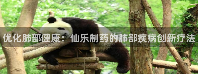 九游会老哥俱乐部官网首页论坛：优化肺部健康：仙乐制药的肺部疾病创新疗法