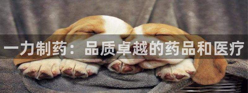9游会老哥俱乐部：一力制药：品质卓越的药品和医疗