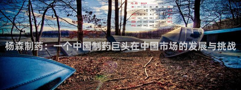 9游会老哥：杨森制药：一个中国制药巨头在中国市场的发展与挑战